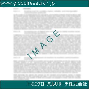 グローバルリサーチ調査資料のイメージ